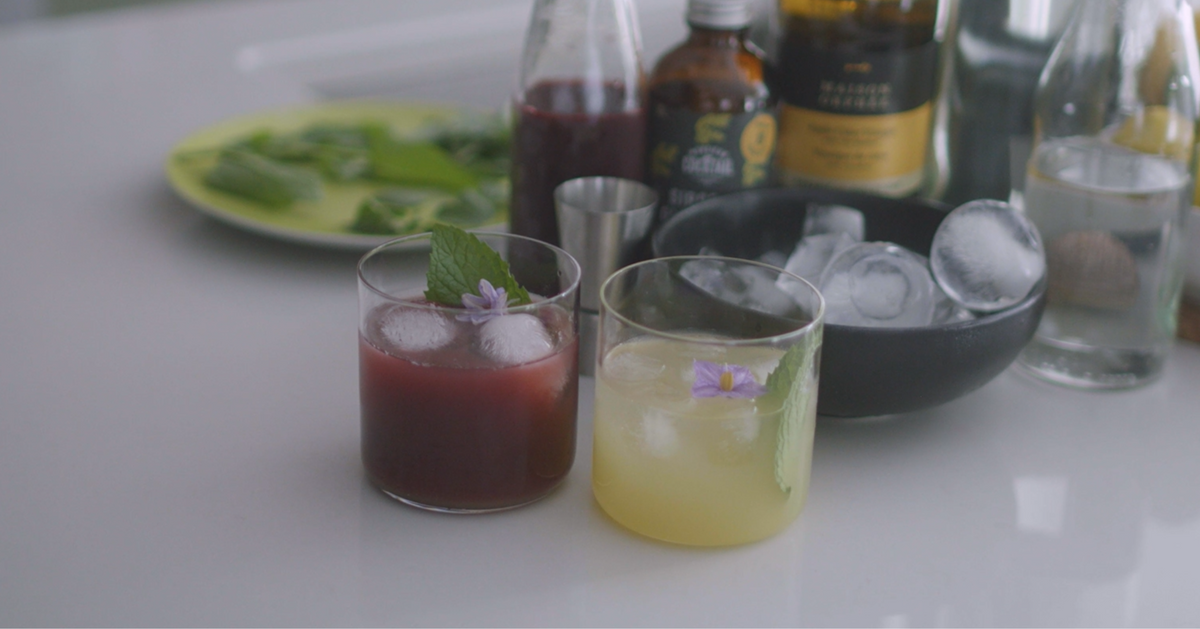 Apple Cider Vinegar Cocktail | Maison Orphée – La Maison Orphée