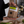 Load image into Gallery viewer, Extra Virgin Olive Oil Delicate - 1.5L