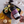Load image into Gallery viewer, Deodorized Avocado Oil