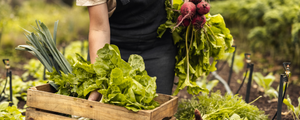 Coop Caus : Un engagement envers l’achat local et la sécurité alimentaire