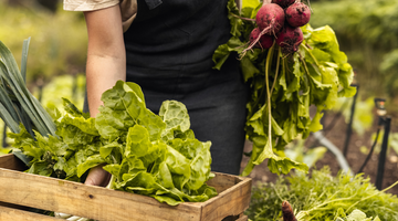 Coop Caus : Un engagement envers l’achat local et la sécurité alimentaire