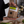 Load image into Gallery viewer, Extra Virgin Olive Oil Delicate
